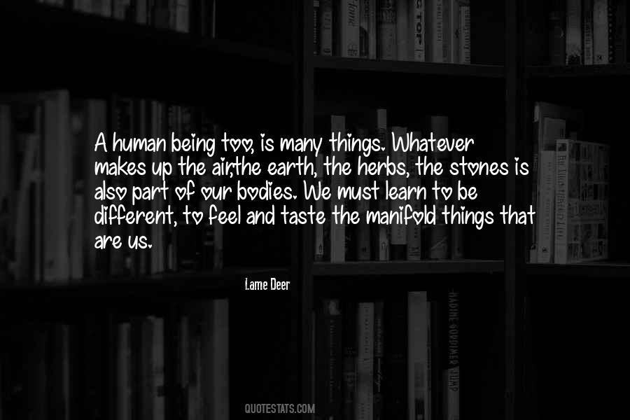 Lame Deer Quotes #1015805 Lame Deer Quotes #1015805