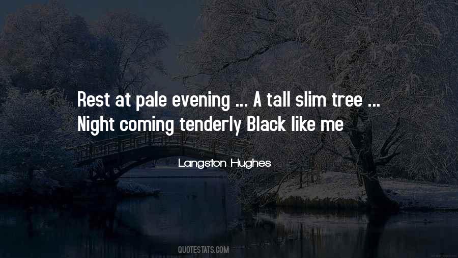 Langston Hughes Quotes #1781019