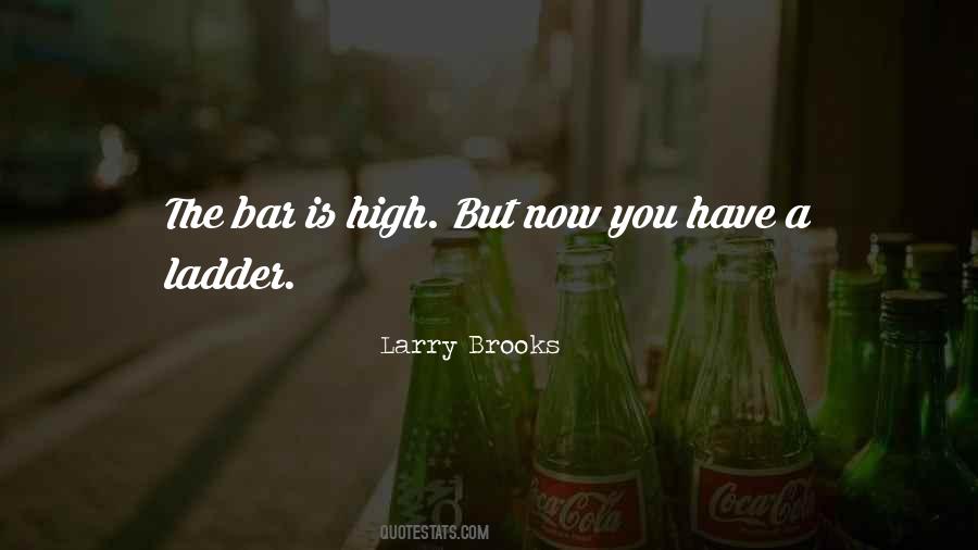 Larry Brooks Quotes #60702