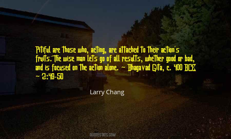 Larry Chang Quotes #166330