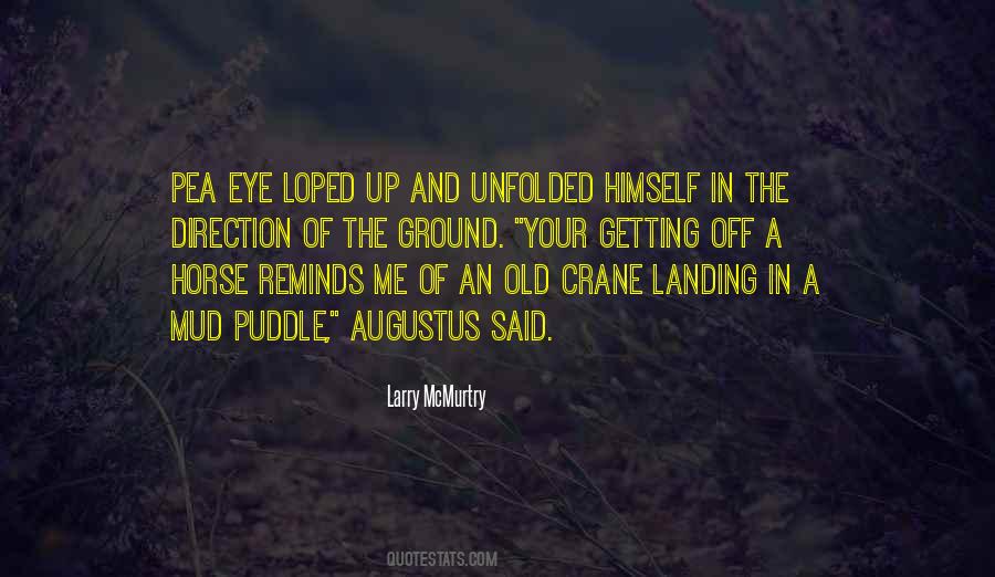 Larry McMurtry Quotes #1772899