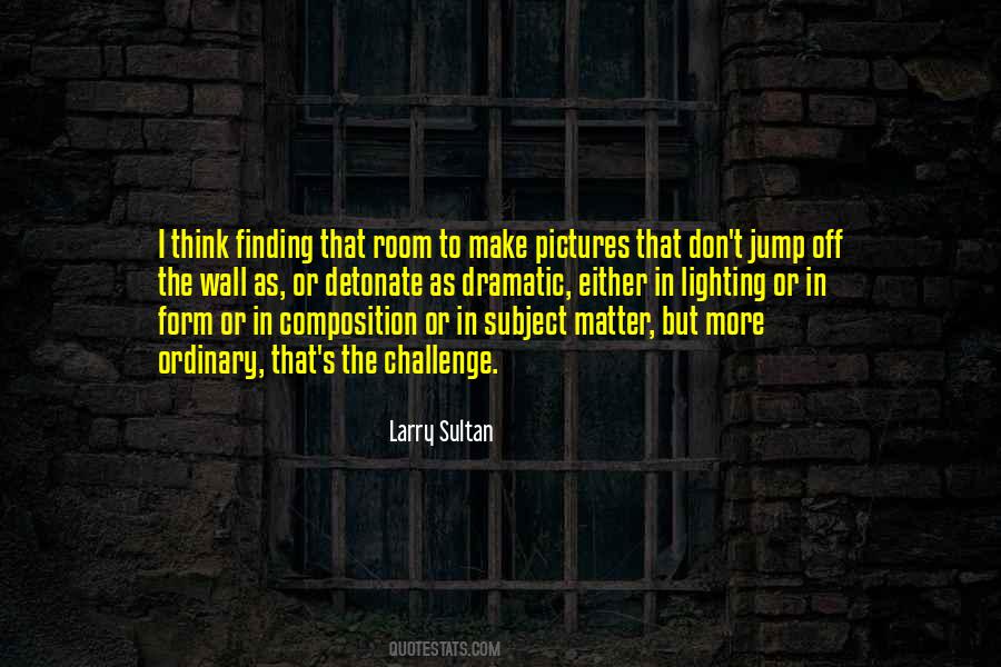 Larry Sultan Quotes #475769