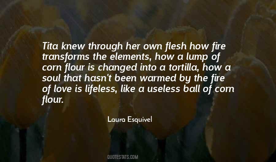 Laura Esquivel Quotes #402901