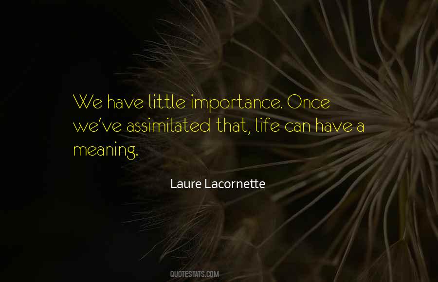 Laure Lacornette Quotes #1214281