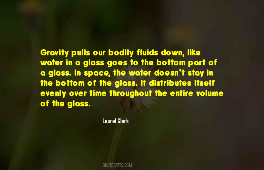 Laurel Clark Quotes #1320512