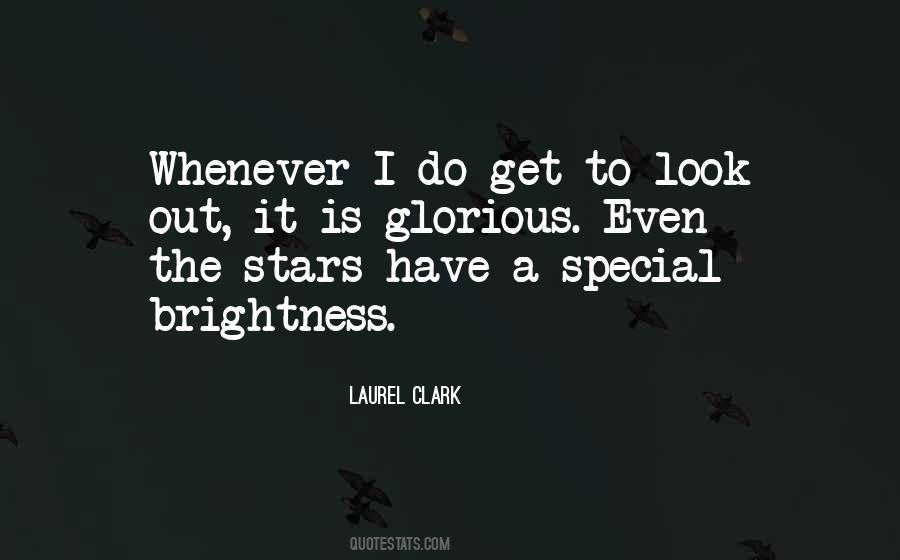 Laurel Clark Quotes #1812527