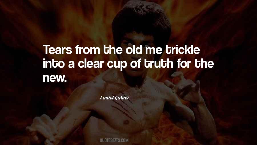 Laurel Garver Quotes #1024643