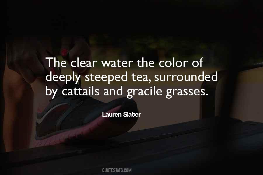 Lauren Slater Quotes #409204