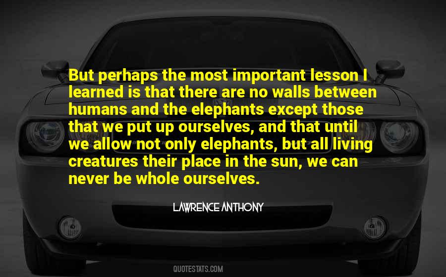 Lawrence Anthony Quotes #888324