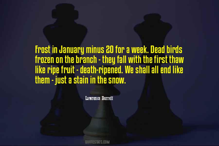 Lawrence Durrell Quotes #574529