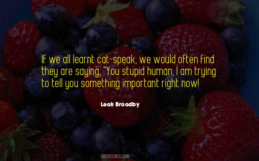 Leah Broadby Quotes #193684