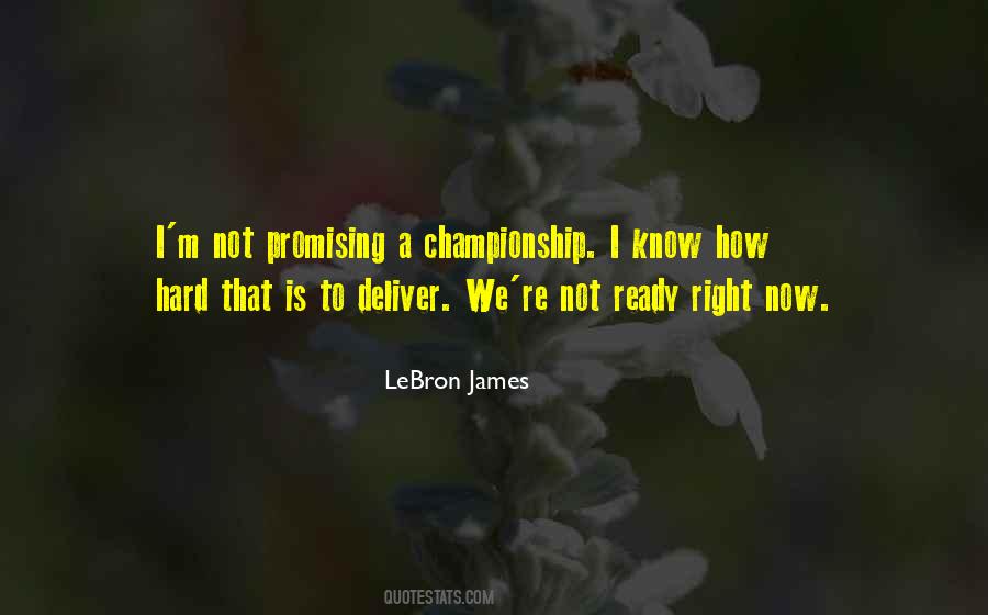 LeBron James Quotes #379871