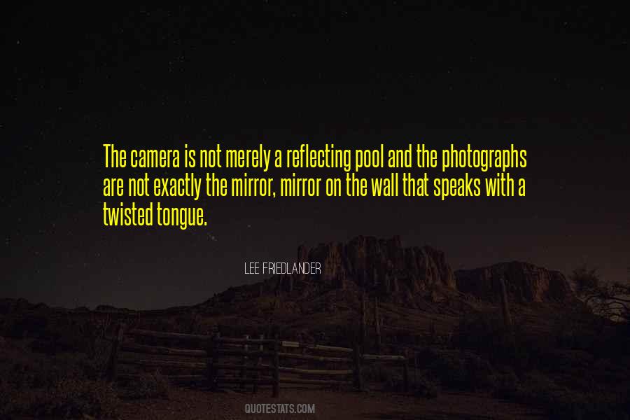 Lee Friedlander Quotes #344182