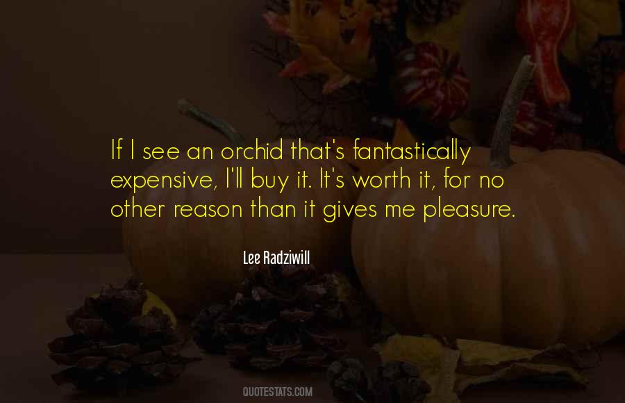 Lee Radziwill Quotes #285619