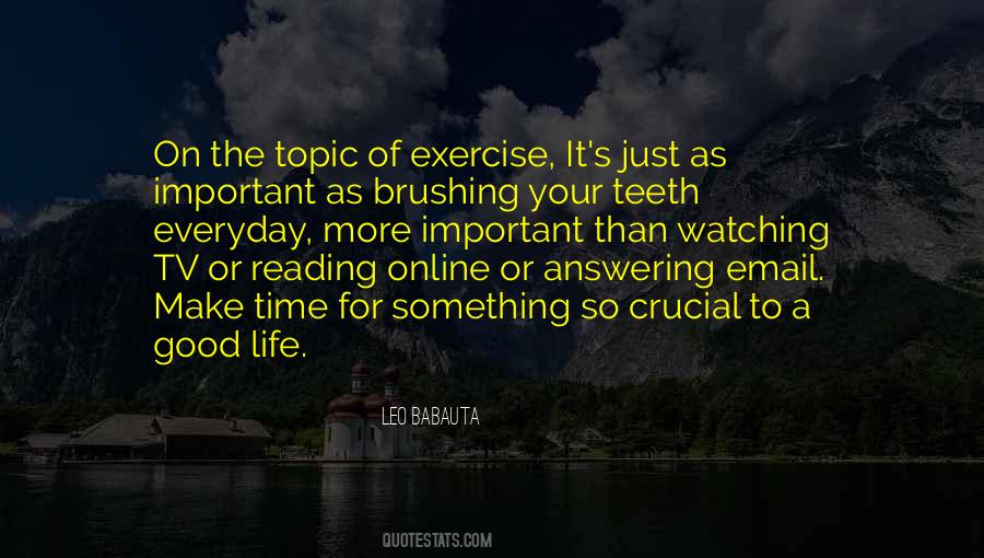 Leo Babauta Quotes #1601581
