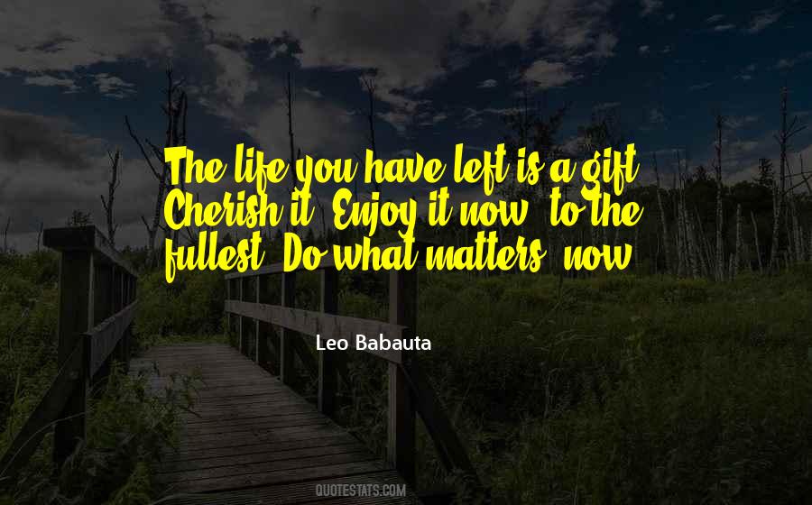 Leo Babauta Quotes #638521