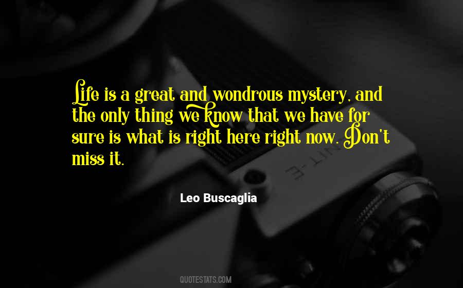 Leo Buscaglia Quotes #591641