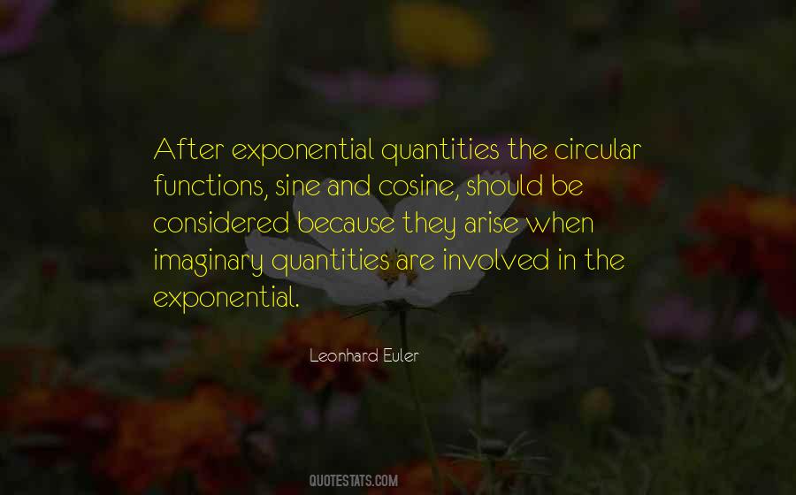 Leonhard Euler Quotes #729906