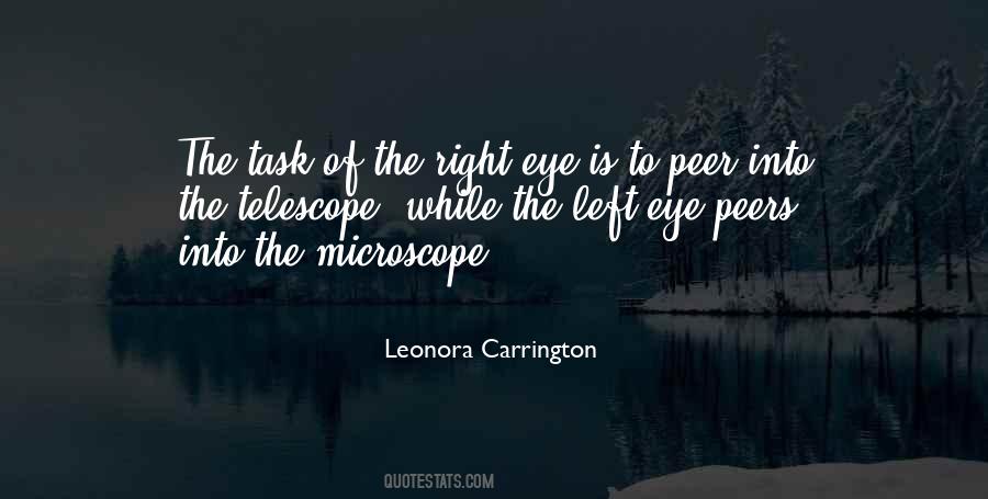 Leonora Carrington Quotes #1687219