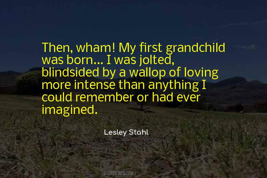 Lesley Stahl Quotes #1493149