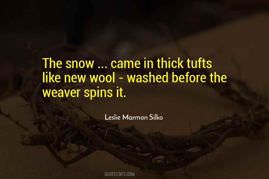 Leslie Marmon Silko Quotes #1165654