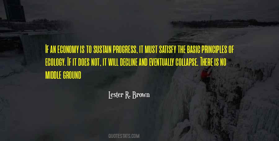 Lester R. Brown Quotes #1178547