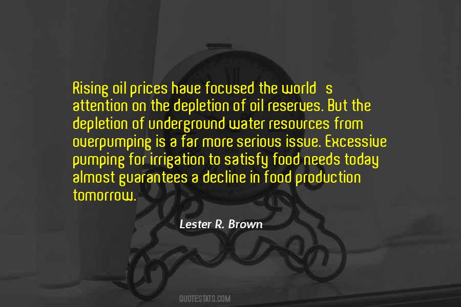 Lester R. Brown Quotes #1182801