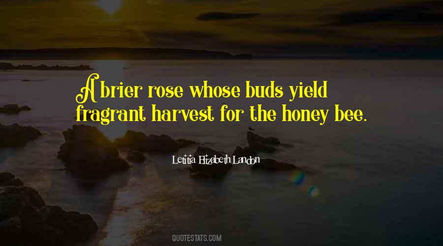 Letitia Elizabeth Landon Quotes #1794191