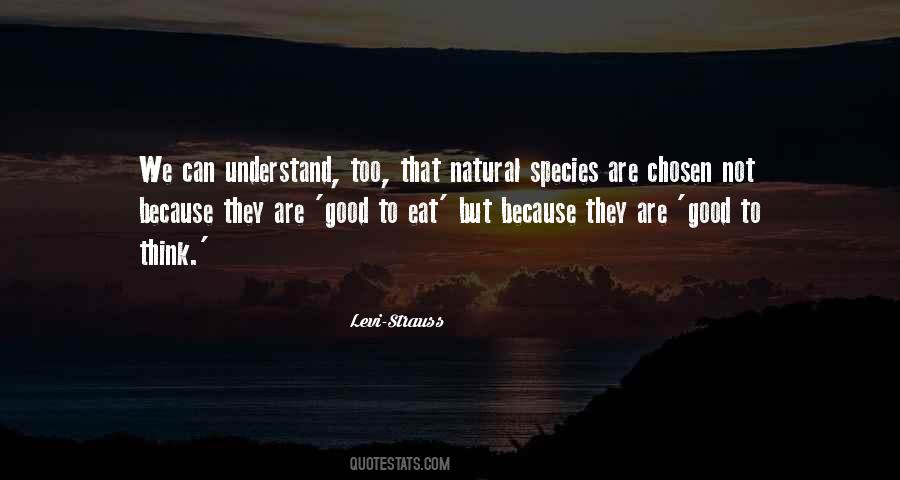 Levi-Strauss Quotes #1260497