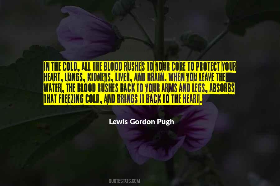 Lewis Gordon Pugh Quotes #1356052