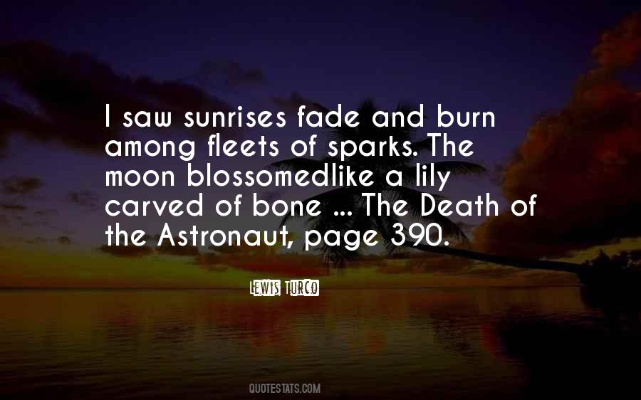 Lewis Turco Quotes #451286