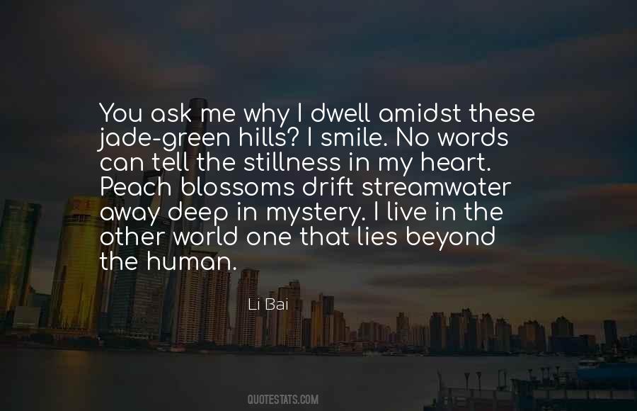 Li Bai Quotes #838937