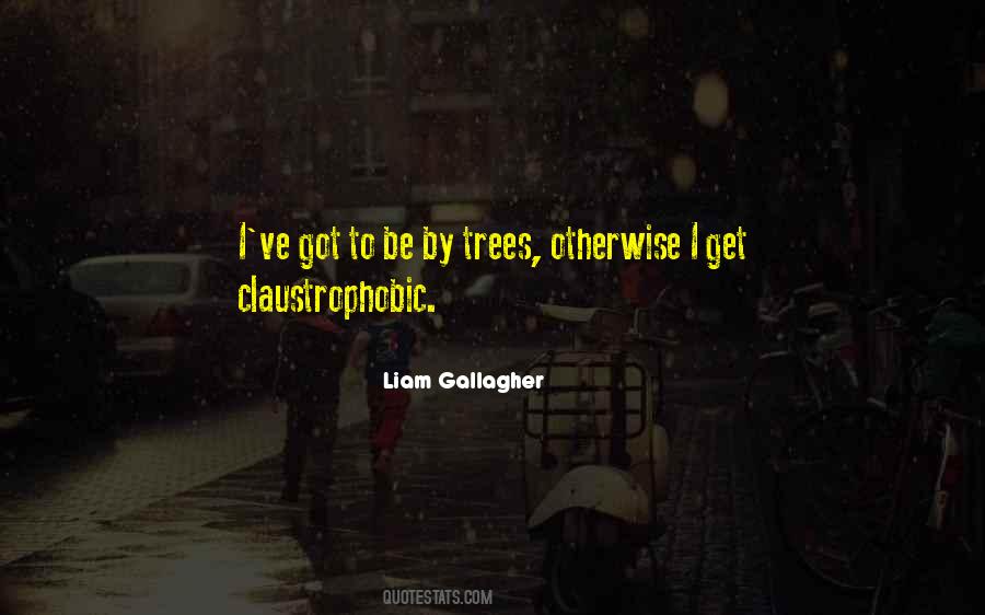 Liam Gallagher Quotes #1592452