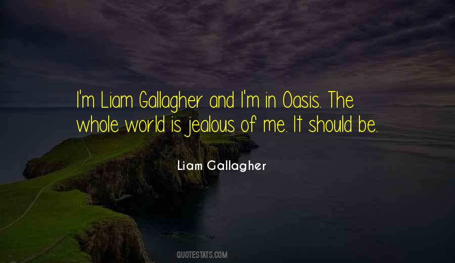 Liam Gallagher Quotes #847138