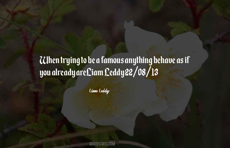 Liam Leddy Quotes #1420173