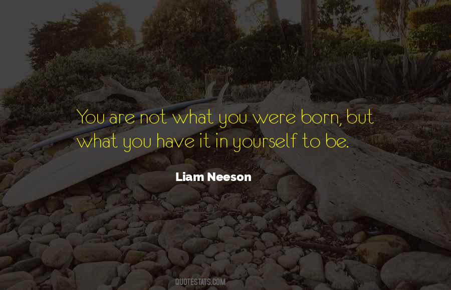 Liam Neeson Quotes #1325860