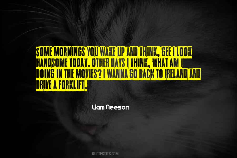 Liam Neeson Quotes #352492