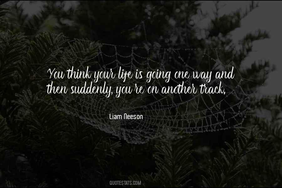 Liam Neeson Quotes #873099