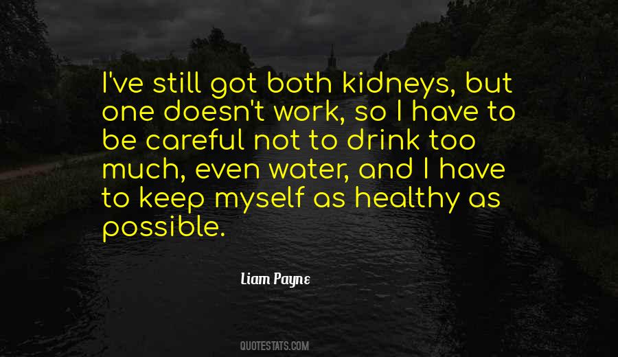Liam Payne Quotes #122619