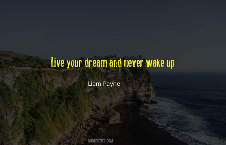 Liam Payne Quotes #1828519
