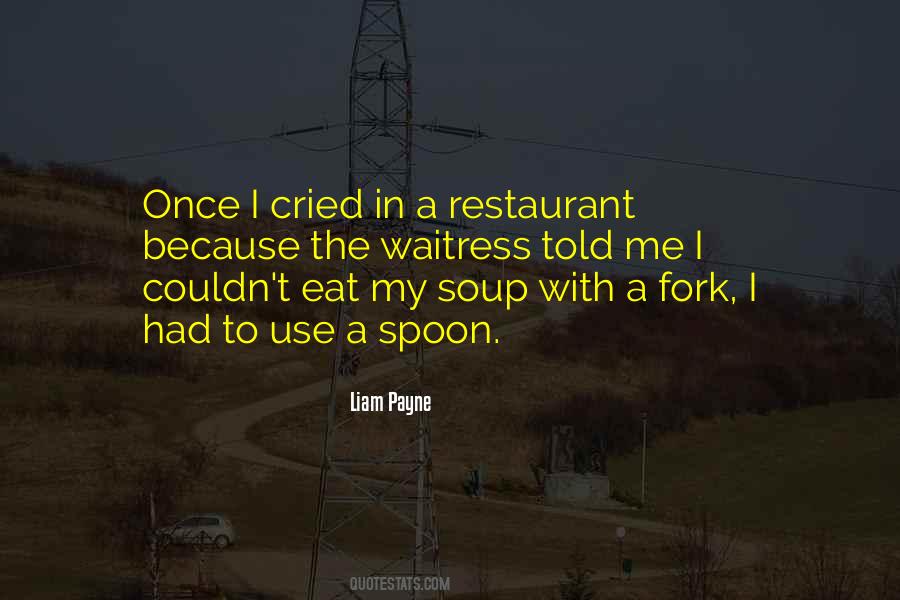 Liam Payne Quotes #855217
