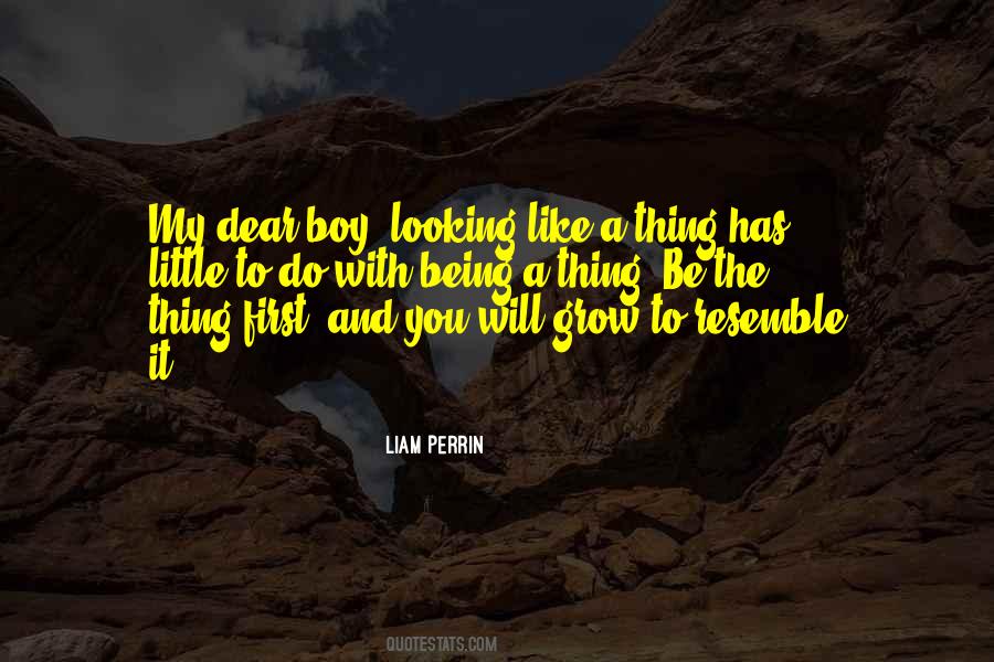 Liam Perrin Quotes #302896