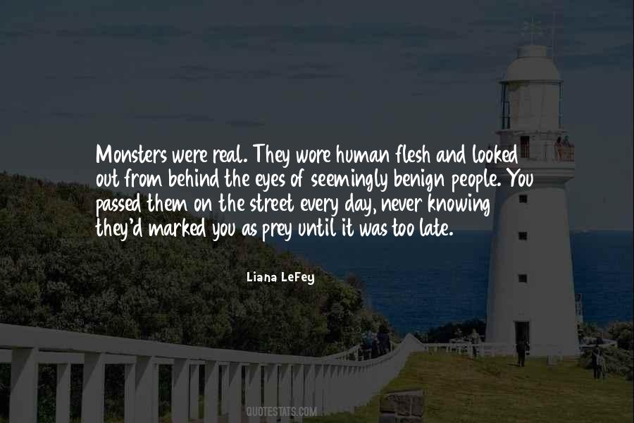 Liana LeFey Quotes #1422982