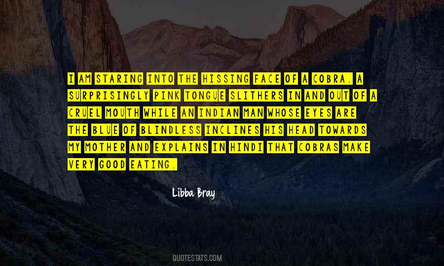 Libba Bray Quotes #12570