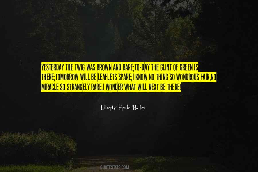 Liberty Hyde Bailey Quotes #1370016