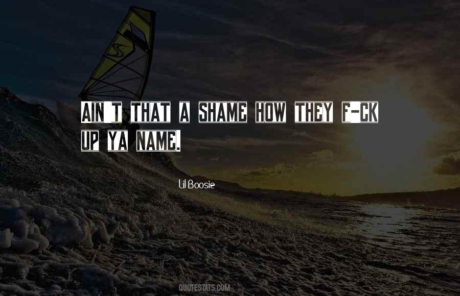 Lil Boosie Quotes #737117
