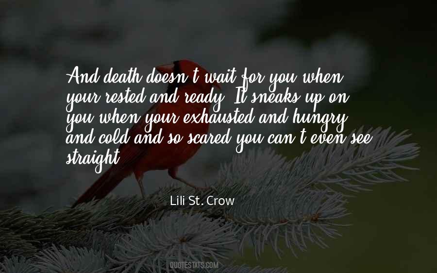 Lili St. Crow Quotes #1495393