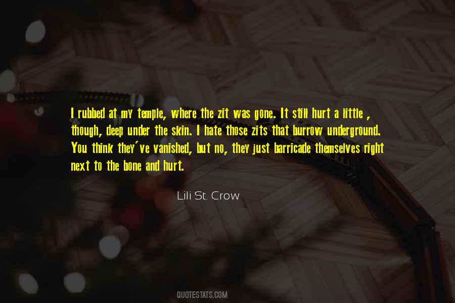 Lili St. Crow Quotes #1635364