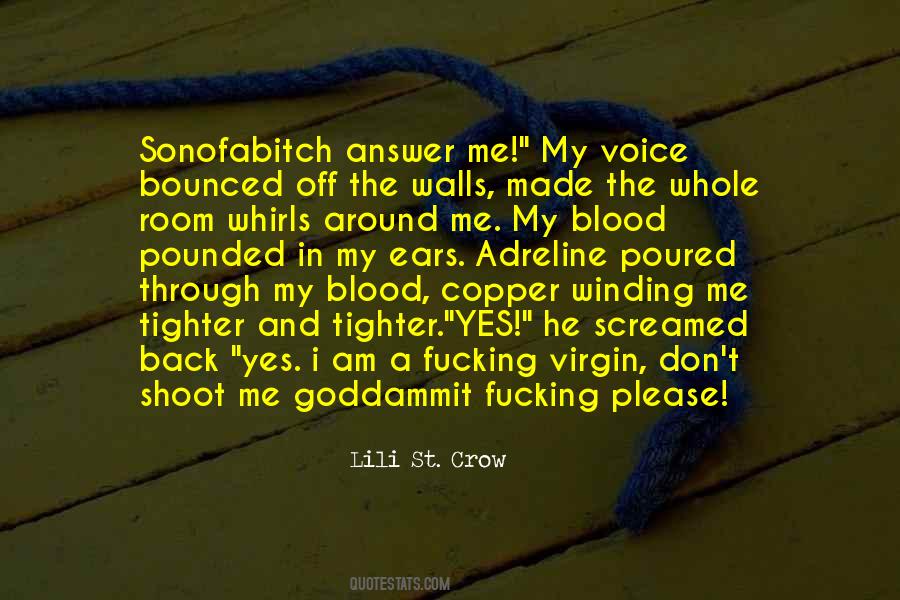 Lili St. Crow Quotes #1675624