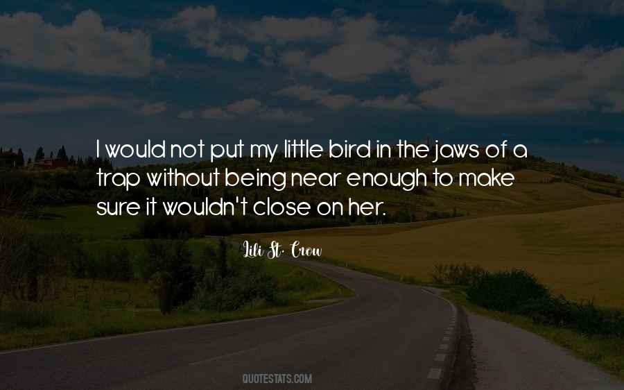 Lili St. Crow Quotes #1744815